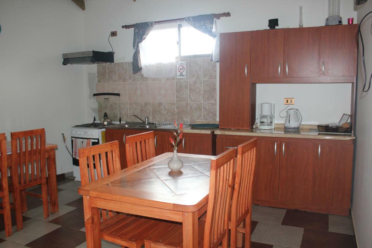 Hostal Y Cabanas Aorangi อังกาโรอา ภายนอก รูปภาพ